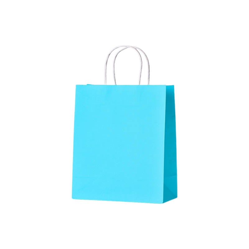 Medium Paper Bags Twisted Handles 260x320mm Light Blue - 50/Pack