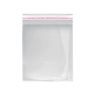 Peel and Seal Cellophane Bags 240x300mm - 1000/Pack