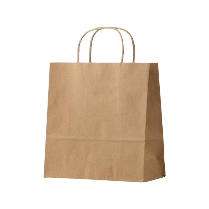 Extra Large Paper Bags Twisted Handles 450x500mm Brown - 50/Pack