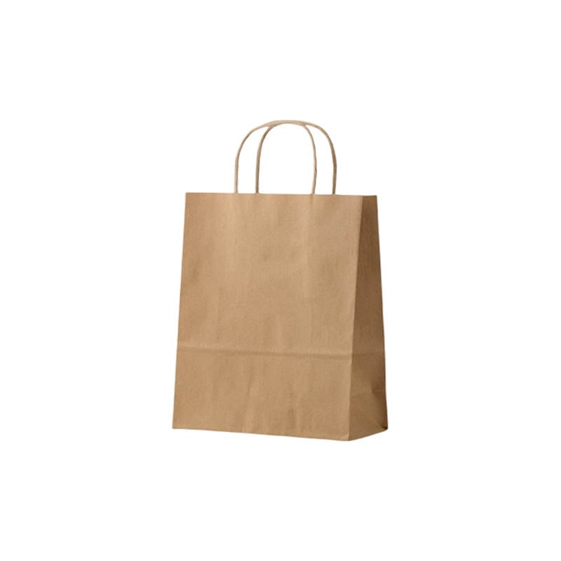 Small Paper Bags Twisted Handles 210x270mm Brown - 50/Pack